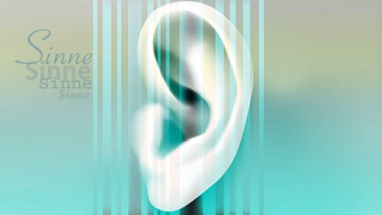 Sinne-Special - Teil 2: Das Hören