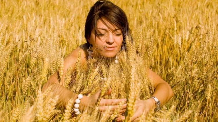 Die volle Kraft des Korns - So wichtig ist Getreide