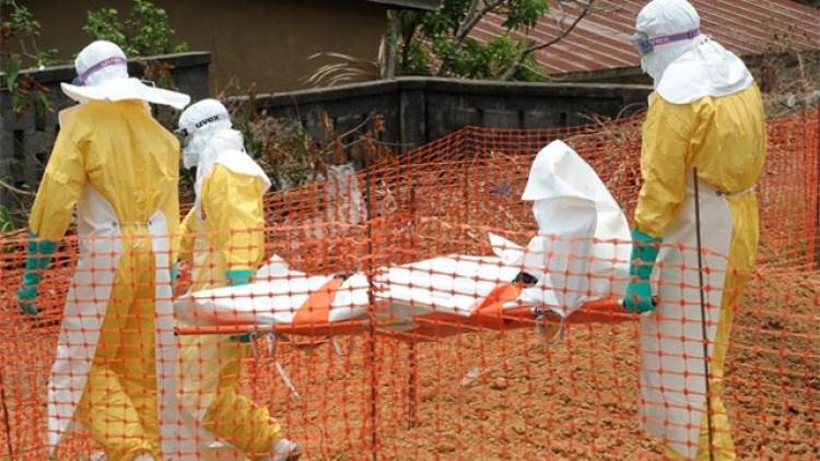 Kurzinformation: Was ist Ebola?