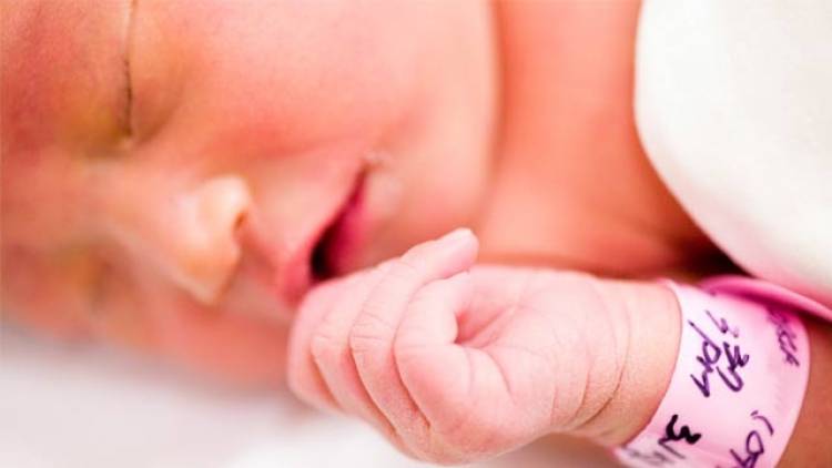 Vitamin-K-Mangel bei Neugeborenen: Gefahr von Blutungen erfordert eine ausreichende Prophylaxe