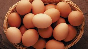 Wie viele Eier essen die Deutschen? - Die Zahl der Woche