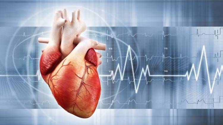 Tag der Herzgesundheit: Experteninterview zu Herzrhythmusstörungen