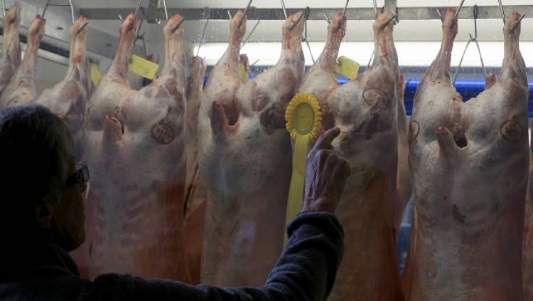 Fleischlos glücklich? Warum es vielen so schwer fällt, auf Steak und Co. zu verzichten