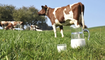 Rohmilch kann vor Asthma schützen