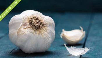 Knoblauch – die heilsame Wirkung der Wunderknolle