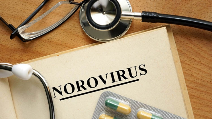 Was ist das Norovirus?