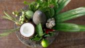 Kokosnuss: Superfood und Schönheitselixier der Coco Collection