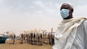 Mers-Virus: Weiter verbreitet als bisher angenommen