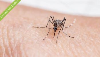 Malaria – Vorsicht bei Fernreisen