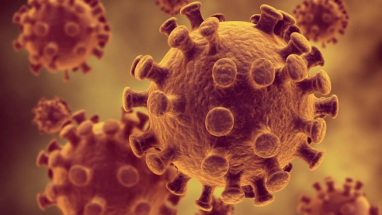 Antikörper sollen HIV bekämpfen