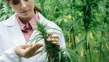 Medizinisches Cannabis – Was hat sich verändert?