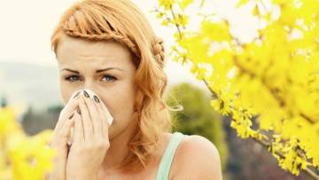 Pollenflug – darauf müssen sich Allergiker gefasst machen