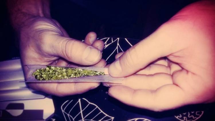 Cannabis bleibt die am häufigsten konsumierte Droge