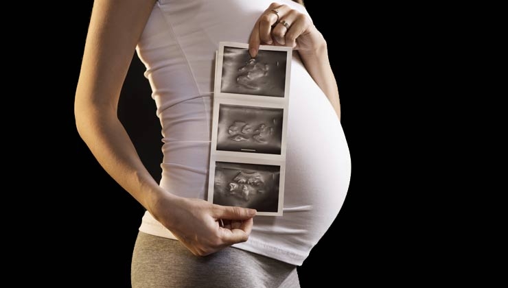Fetale Programmierung - Die Gesundheit des Menschen wird im Mutterleib bestimmt