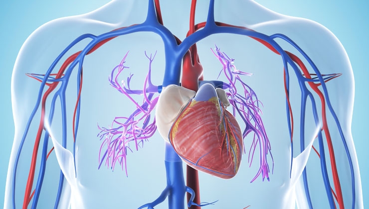 Experteninterview: Herzinsuffizienz und die Behandlungsoptionen