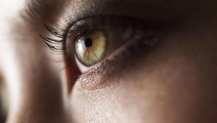 Die wichtigsten Antworten zum Thema Augengesundheit