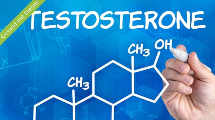 Testosteron – ein niedriger Testosteronspiegel birgt ein erhöhtes Sterberisiko