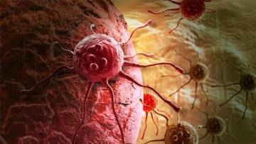 Mutationen verhindern Zelltod – Neue Erkenntnis in der Krebsforschung
