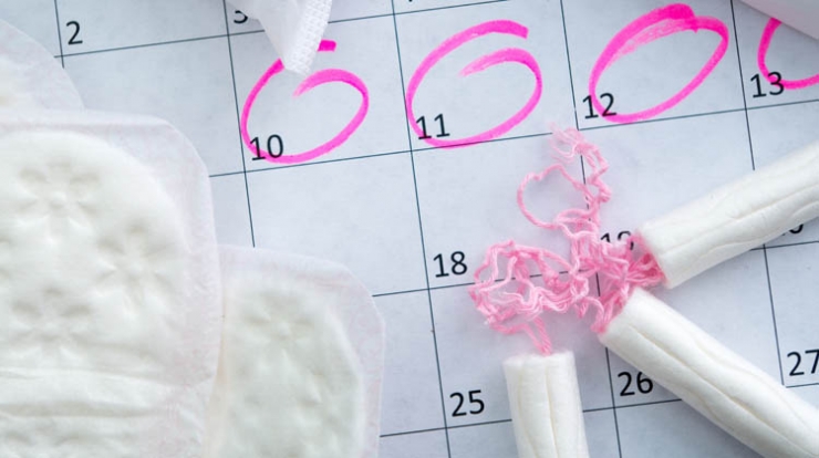 Menstruations-Kalender: Die App im Test