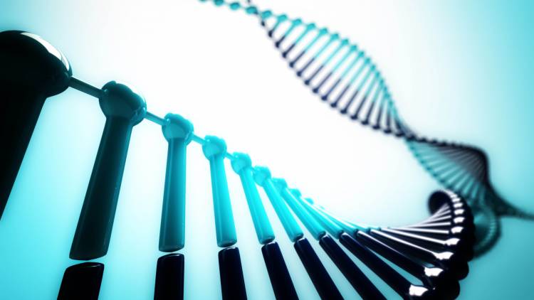 Tübinger Forschungsteam identifiziert sechs neue genetische Risikofaktoren für Parkinson-Patienten
