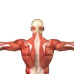thinkstockphotos.com