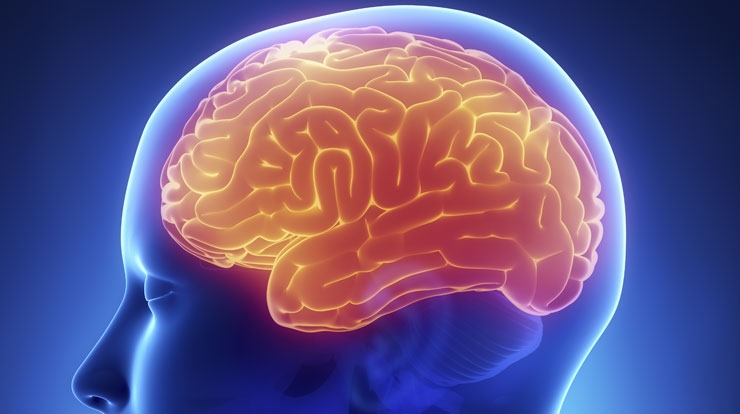 thinkstockphotos.com