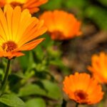 thinkstockphotos.de