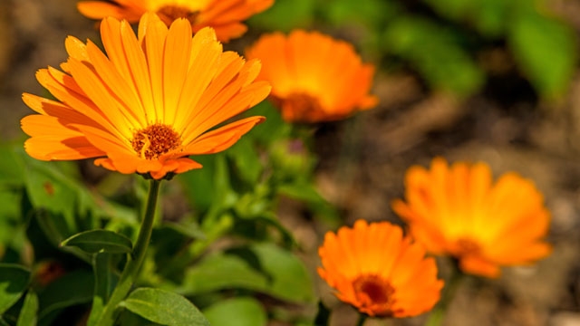 thinkstockphotos.de